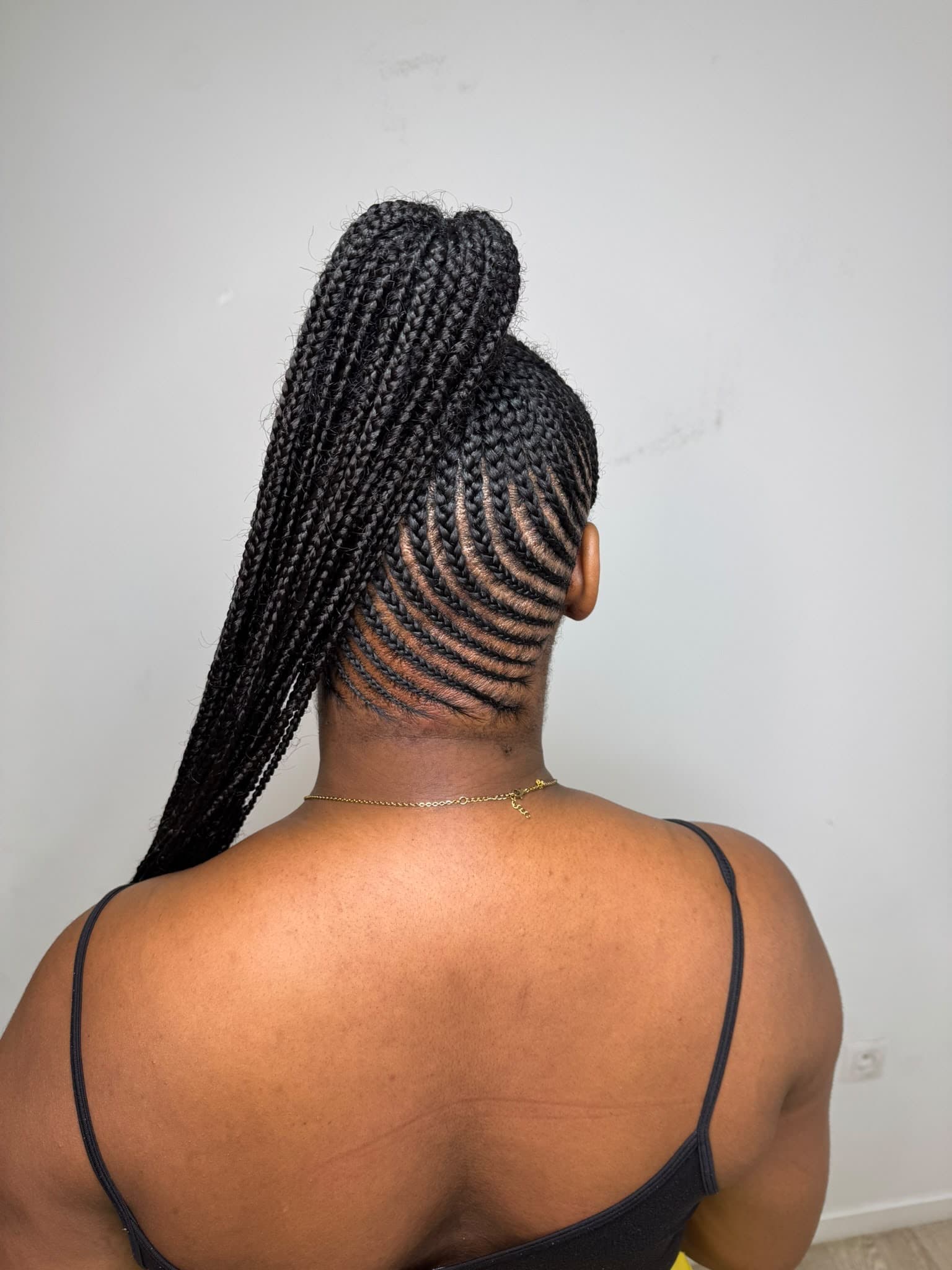 Braided Ponytail